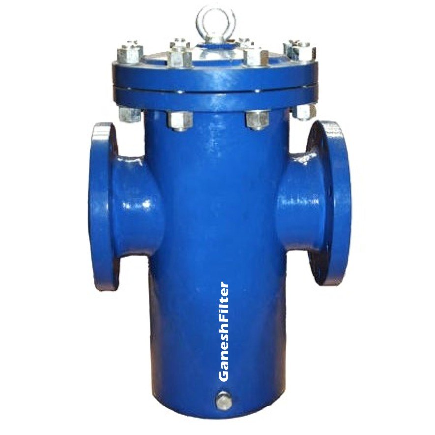 Inline water strainer